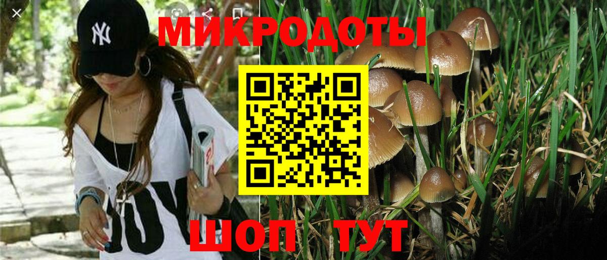 Галлюциногенные грибы ЛСД Фурманов